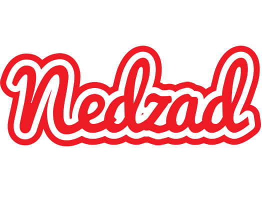 Nedzad sunshine logo