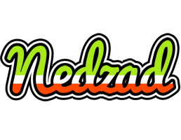 Nedzad superfun logo