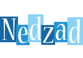 Nedzad winter logo