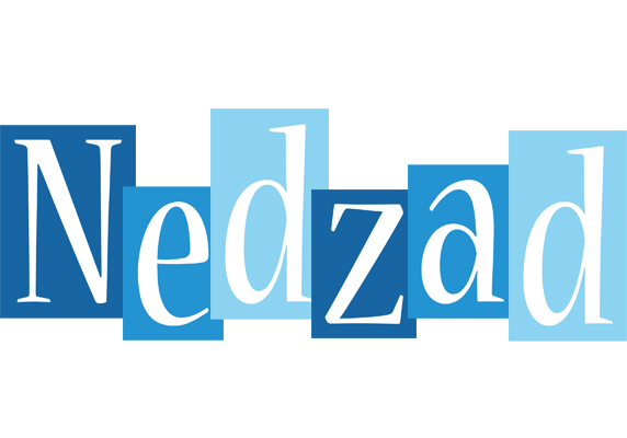 Nedzad winter logo