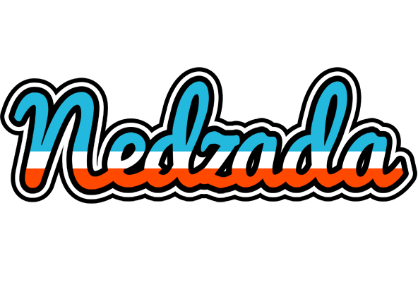 Nedzada america logo