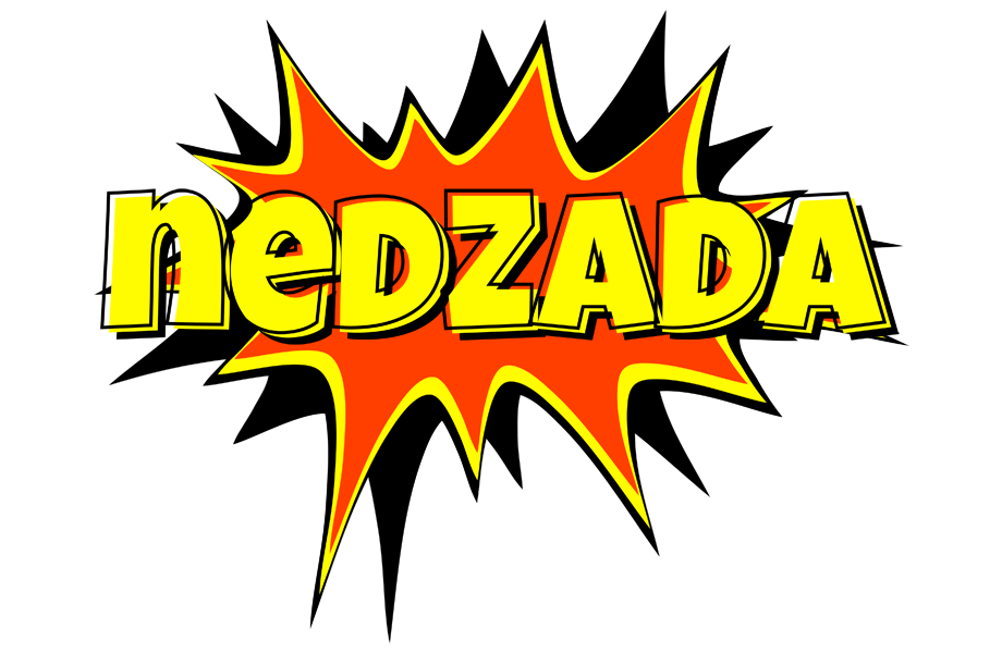 Nedzada bazinga logo