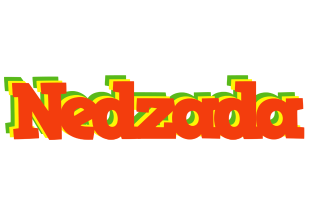 Nedzada bbq logo