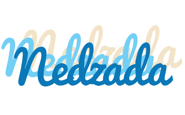 Nedzada breeze logo
