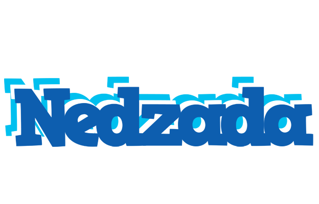 Nedzada business logo