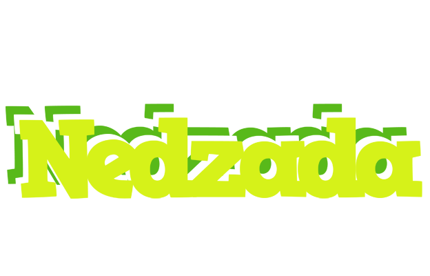 Nedzada citrus logo
