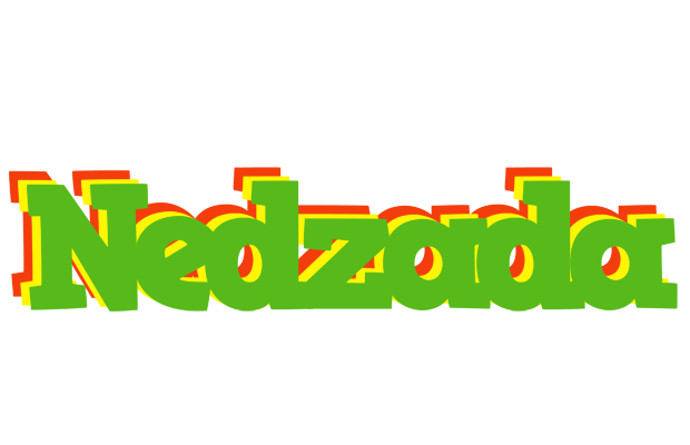 Nedzada crocodile logo