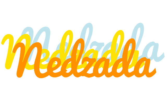 Nedzada energy logo