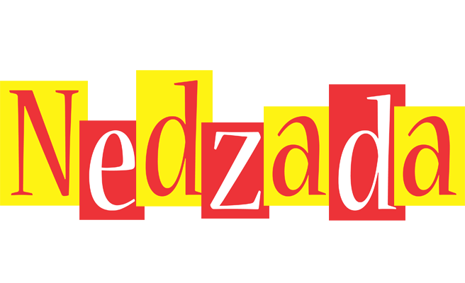 Nedzada errors logo