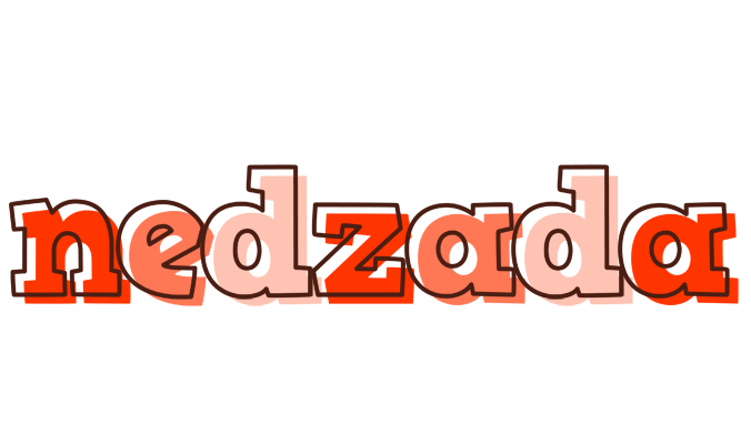 Nedzada paint logo