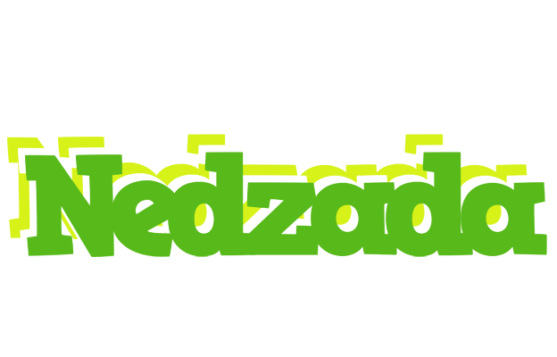 Nedzada picnic logo