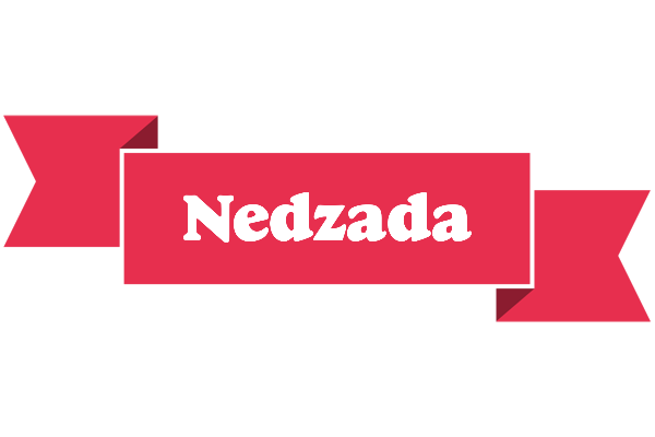 Nedzada sale logo