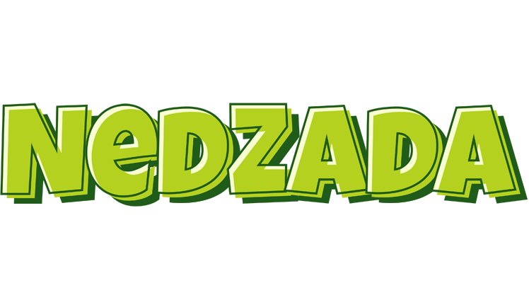 Nedzada summer logo