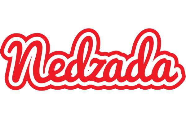 Nedzada sunshine logo