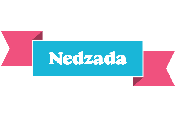 Nedzada today logo