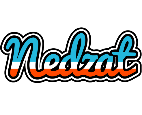 Nedzat america logo