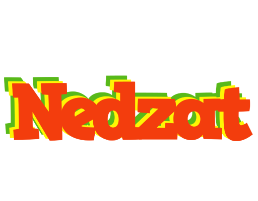 Nedzat bbq logo