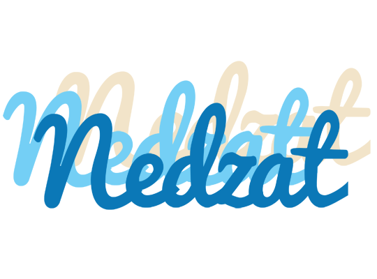 Nedzat breeze logo