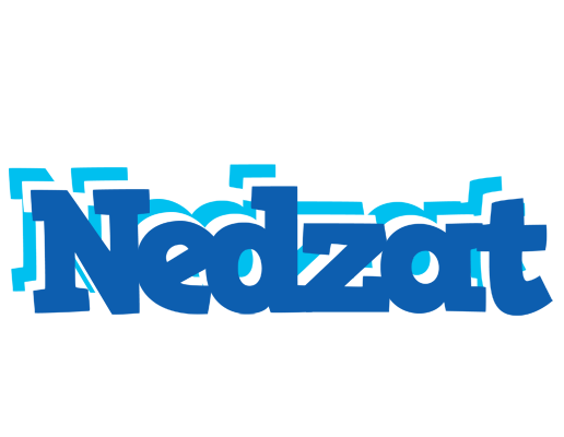 Nedzat business logo