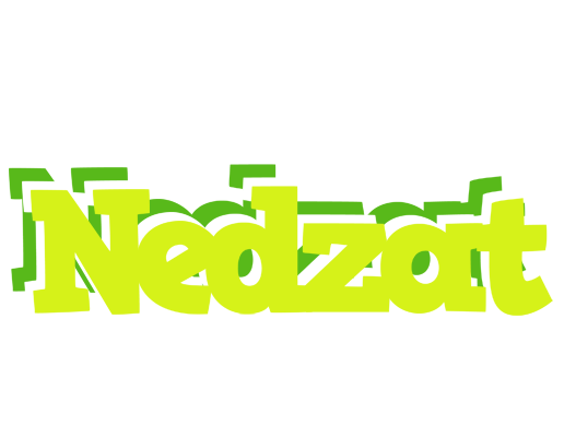 Nedzat citrus logo