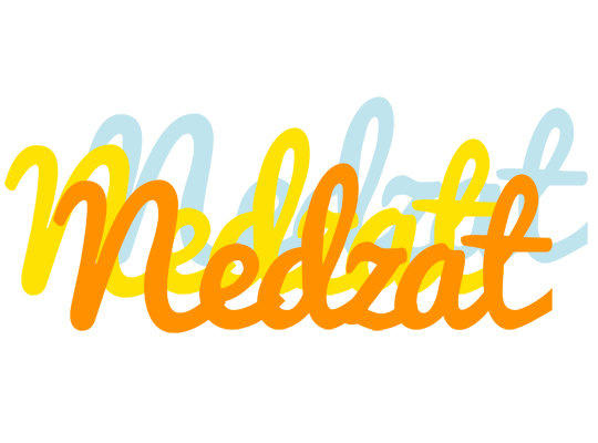 Nedzat energy logo