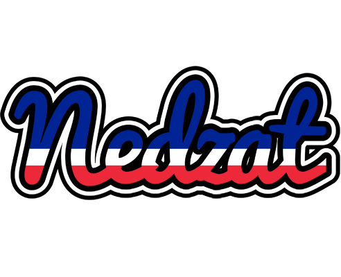 Nedzat france logo