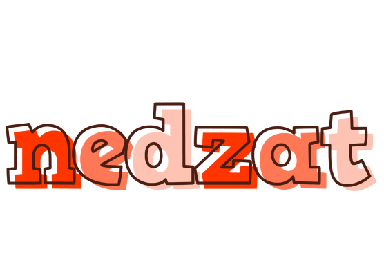 Nedzat paint logo