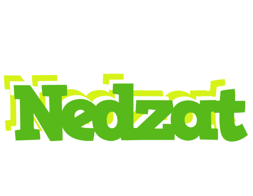 Nedzat picnic logo
