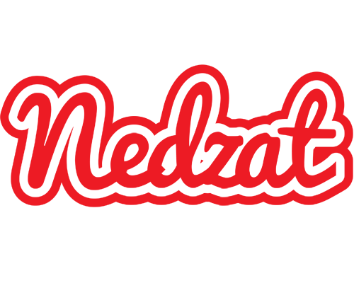 Nedzat sunshine logo