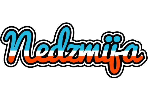 Nedzmija america logo