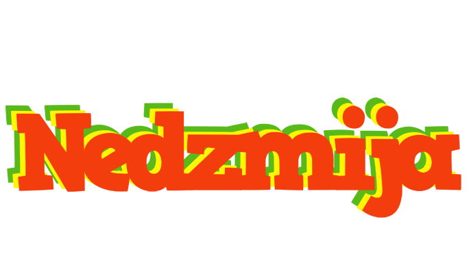 Nedzmija bbq logo