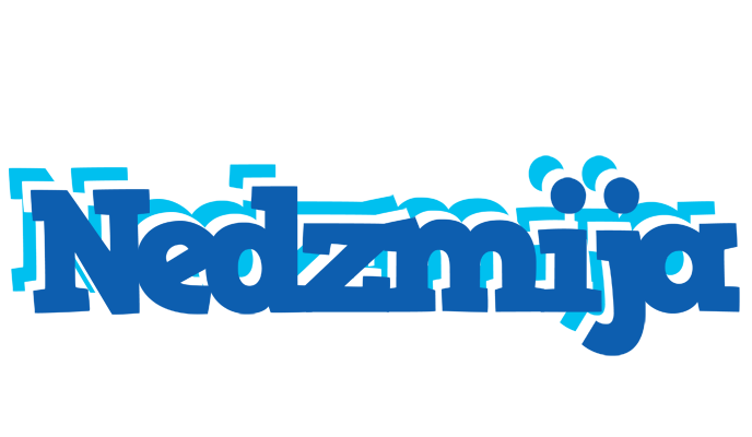 Nedzmija business logo