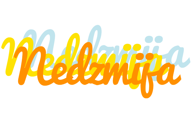 Nedzmija energy logo