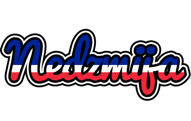 Nedzmija france logo