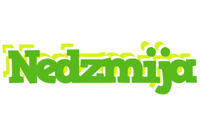 Nedzmija picnic logo