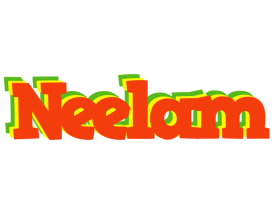 Neelam bbq logo