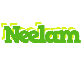 Neelam picnic logo