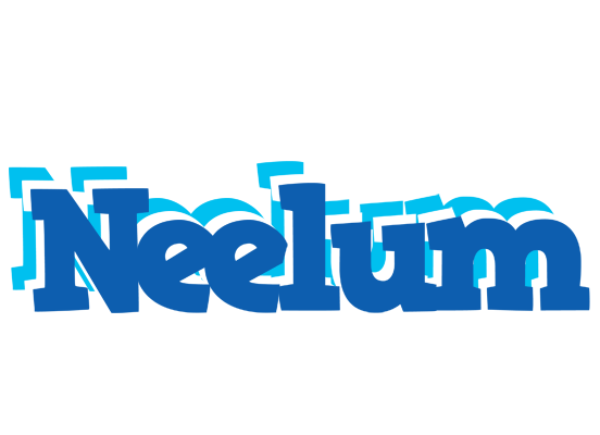 Neelum business logo