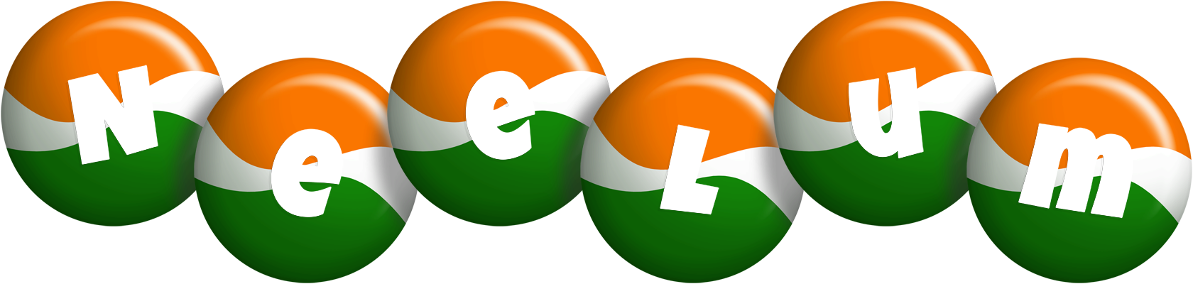 Neelum india logo