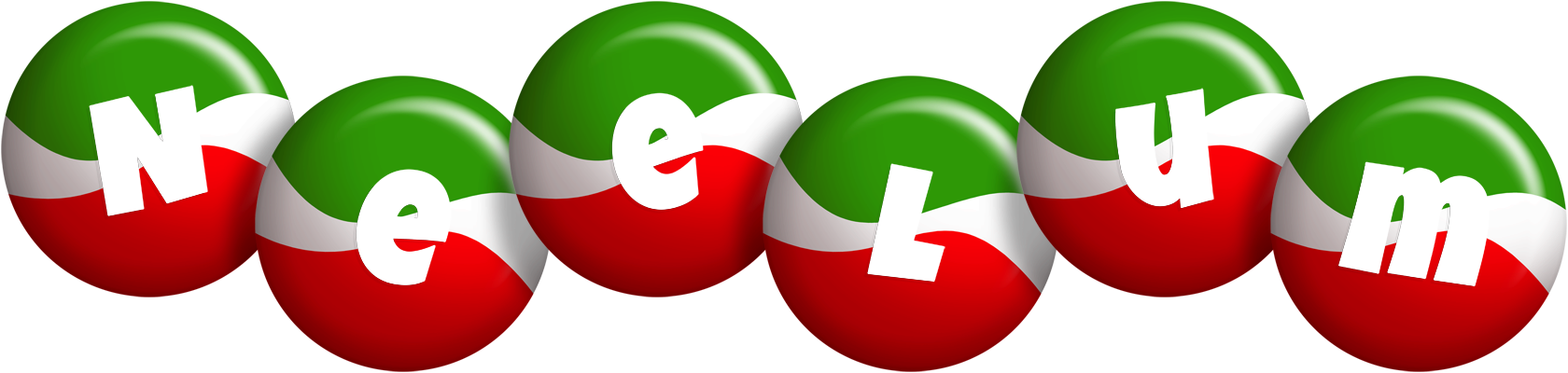 Neelum italy logo