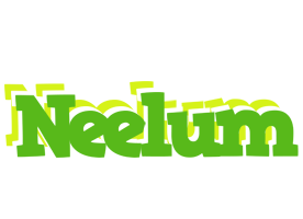 Neelum picnic logo