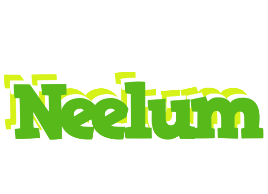 Neelum picnic logo