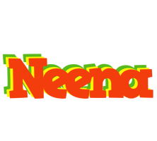 Neena bbq logo