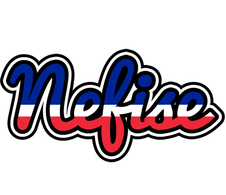 Nefise france logo