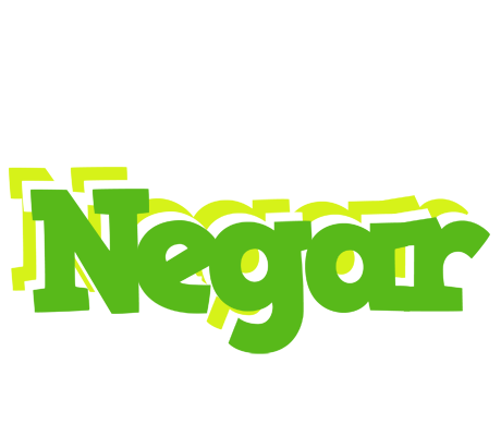 Negar picnic logo