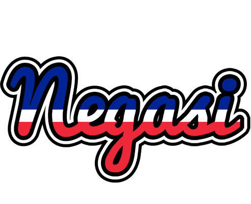 Negasi france logo