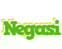 Negasi picnic logo