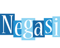 Negasi winter logo