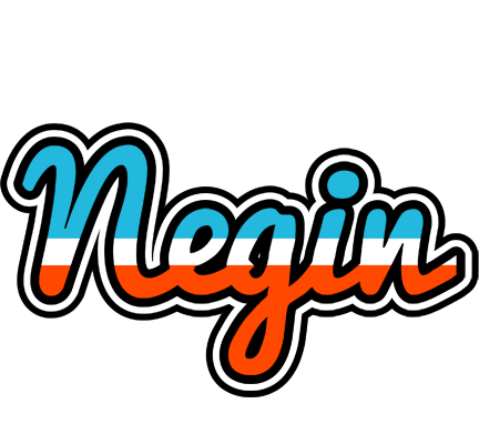 Negin america logo