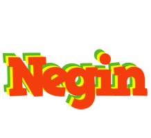 Negin bbq logo